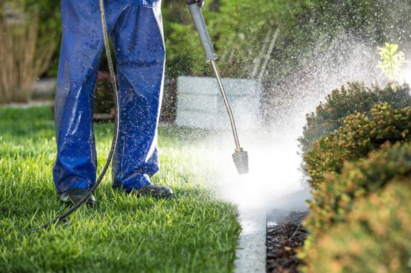 Cost of Curb Cleaning in Norwalk