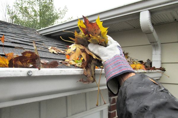 Cost of Eaves Cleaning in Norwalk